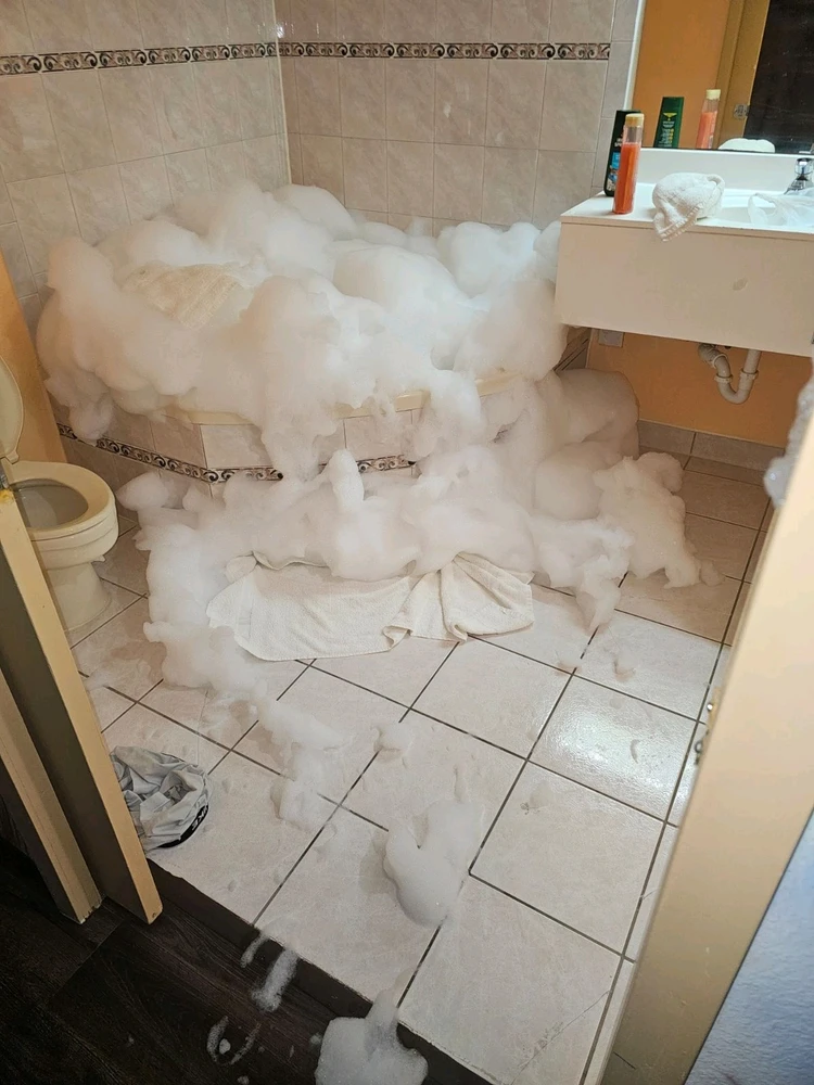 Image uploaded by Thomas