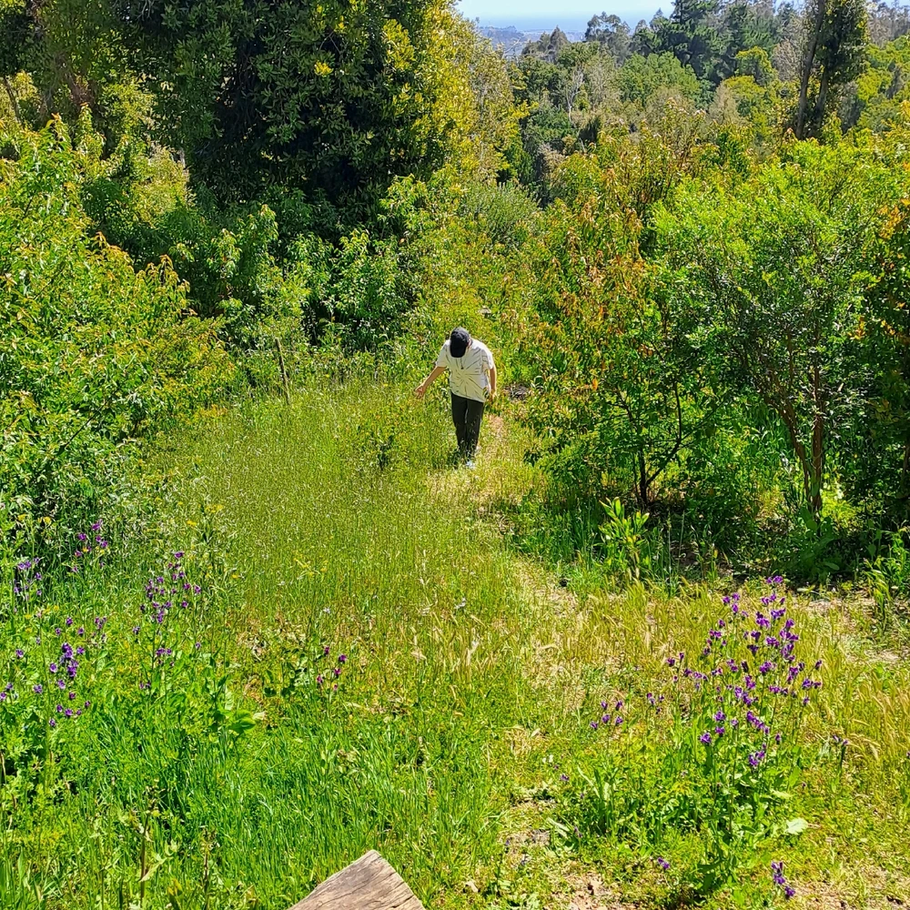 Imagen subida por Tine