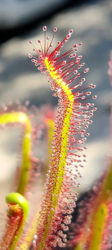 Image uploaded by Robert