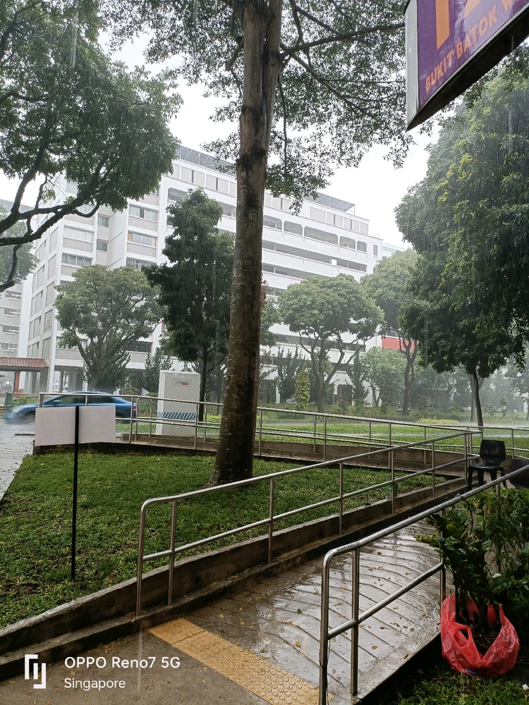 Ree上傳的圖片