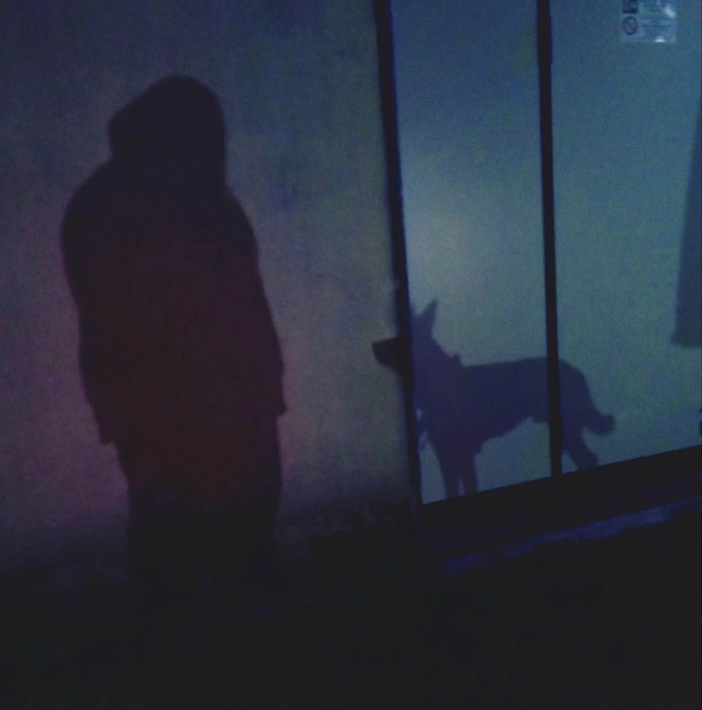 Immagine caricata da Jonathan