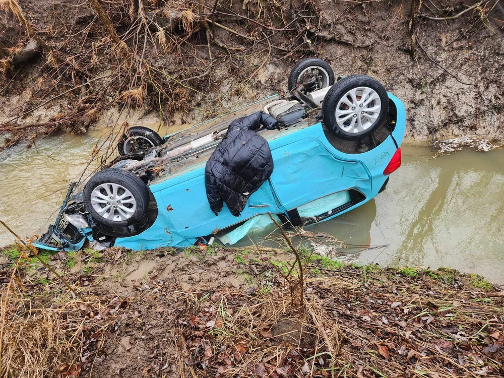 由Katelynn上传的图片