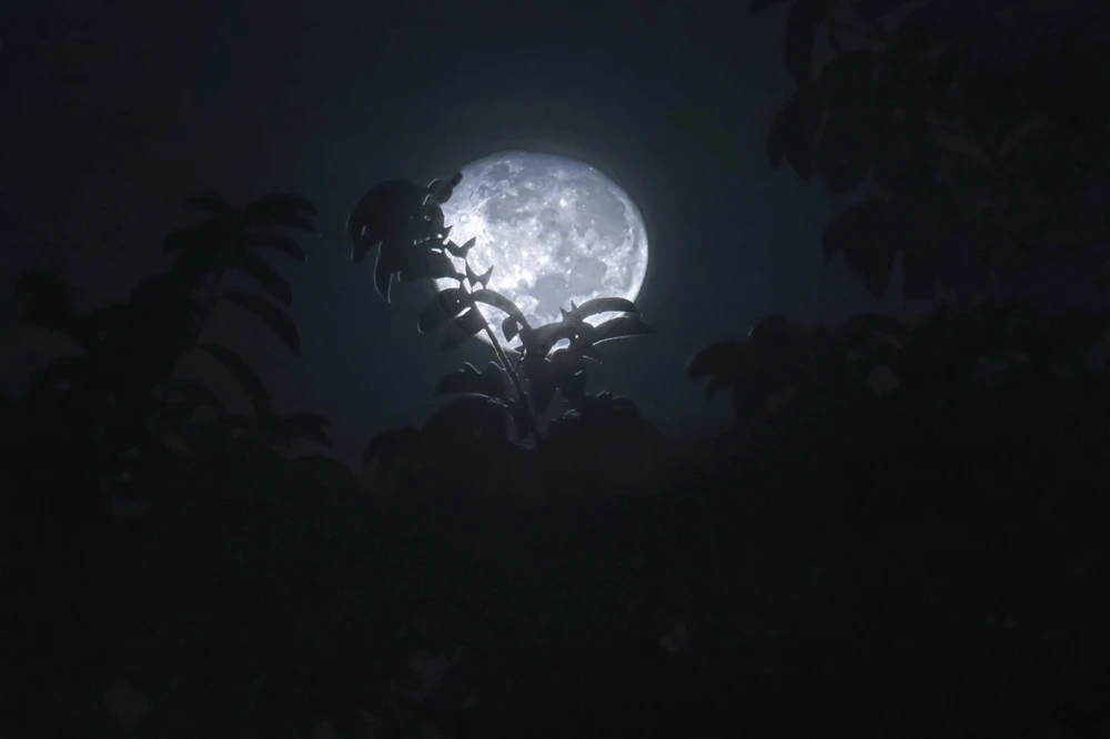 Image uploaded by Fabiola