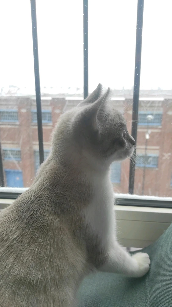 Image ajoutée par Alexis