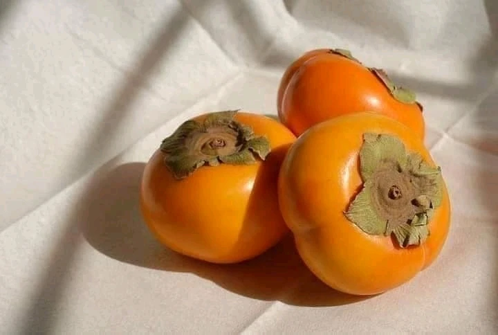 Image ajoutée par Hamdi