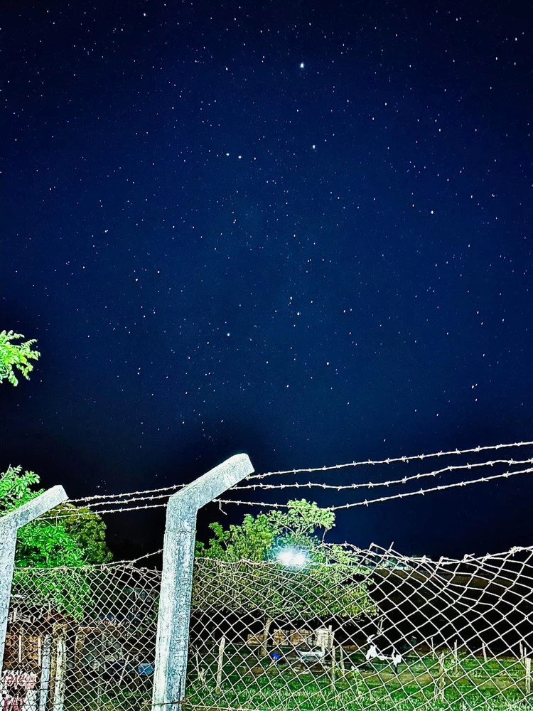 Imagem enviada por Michael