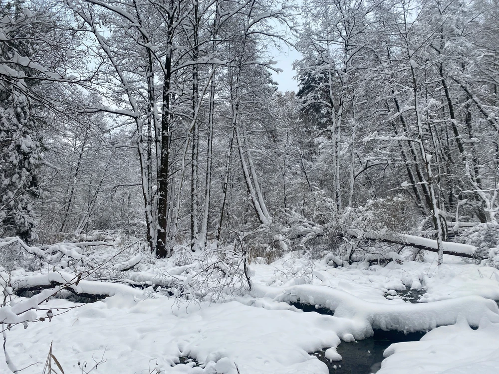 Spokój i cisza …. 🙌🏻