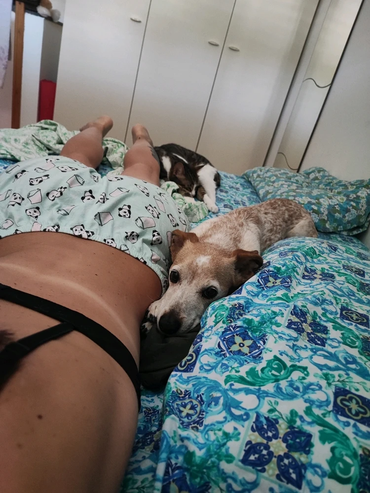 Immagine caricata da Miriana