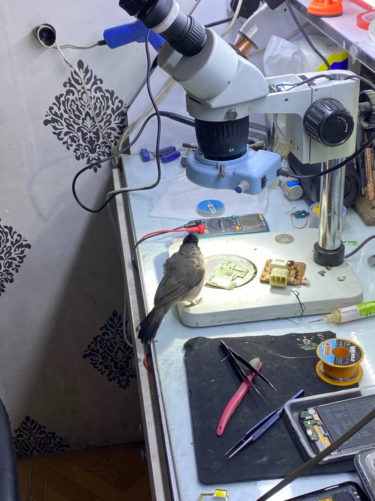 تصویر آپلود شده توسط ali