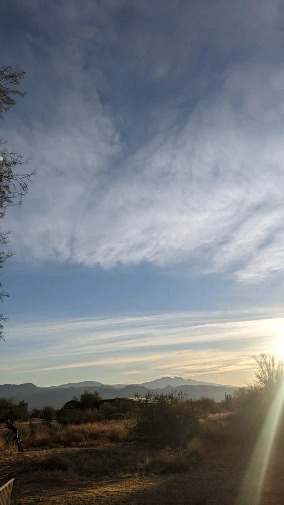 Image uploaded by Daniel