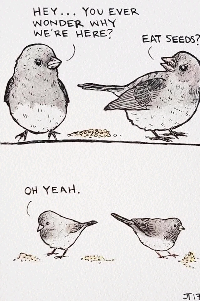 Image uploaded by Daniel