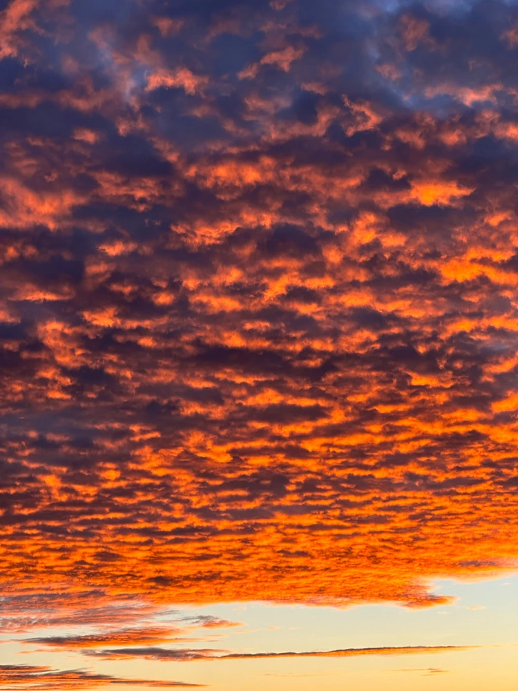 รูปที่อัพโหลดโดย Kirato