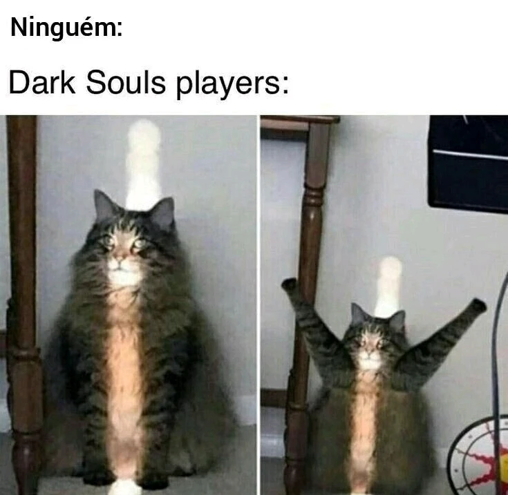 Imagem enviada por Carlos