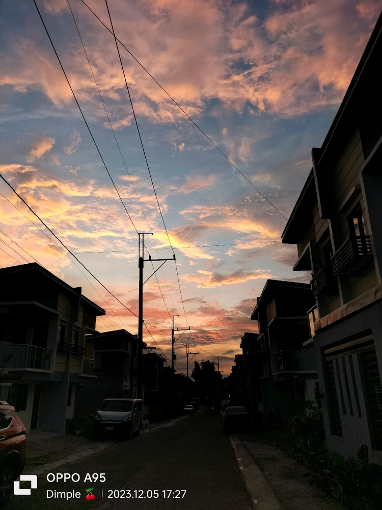 Image uploaded by Dimple