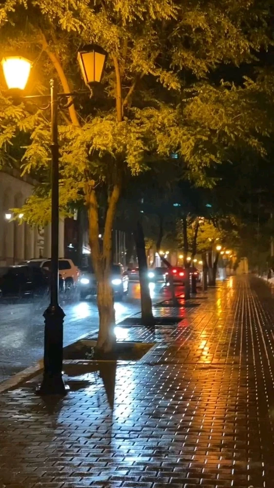 Gambar diunggah dening Aashi