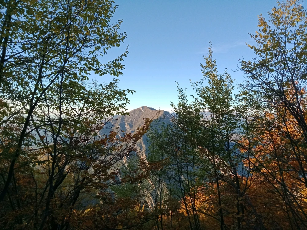 Image uploaded by Umut