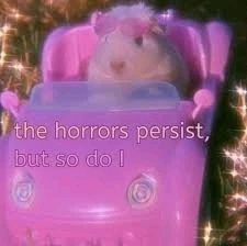 Send me a meme you like