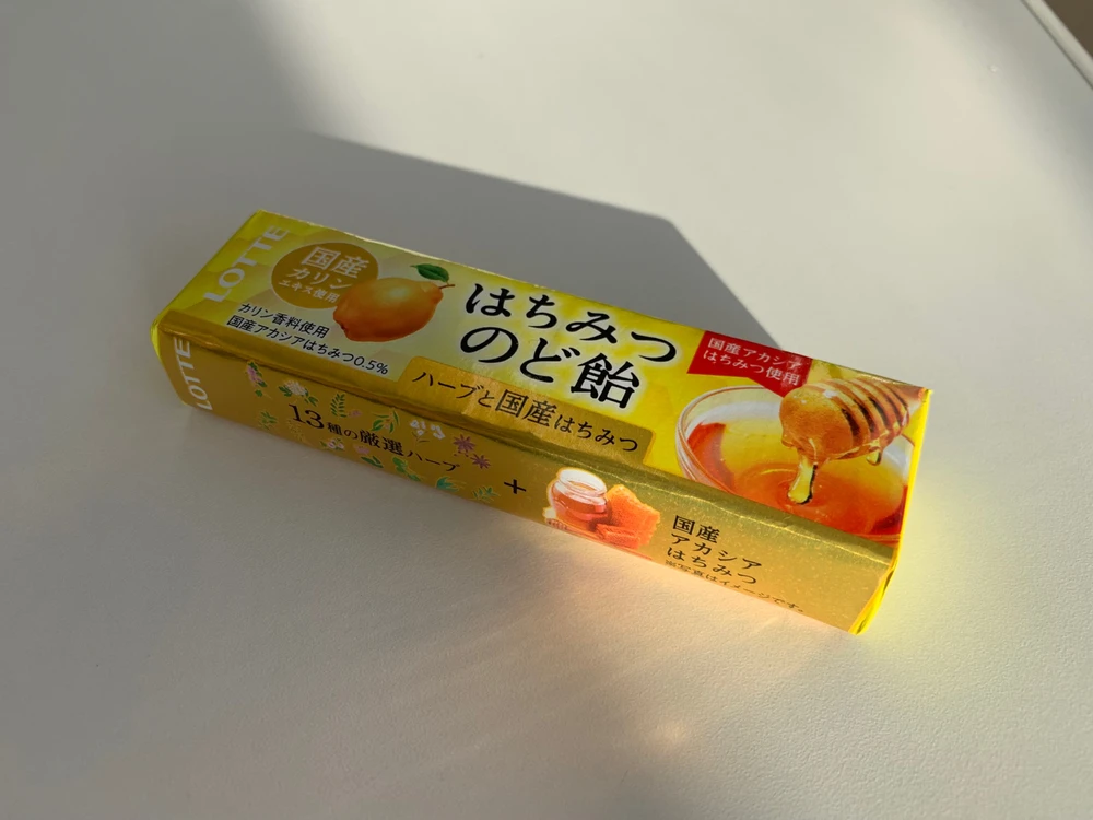 新しいお友達できた。