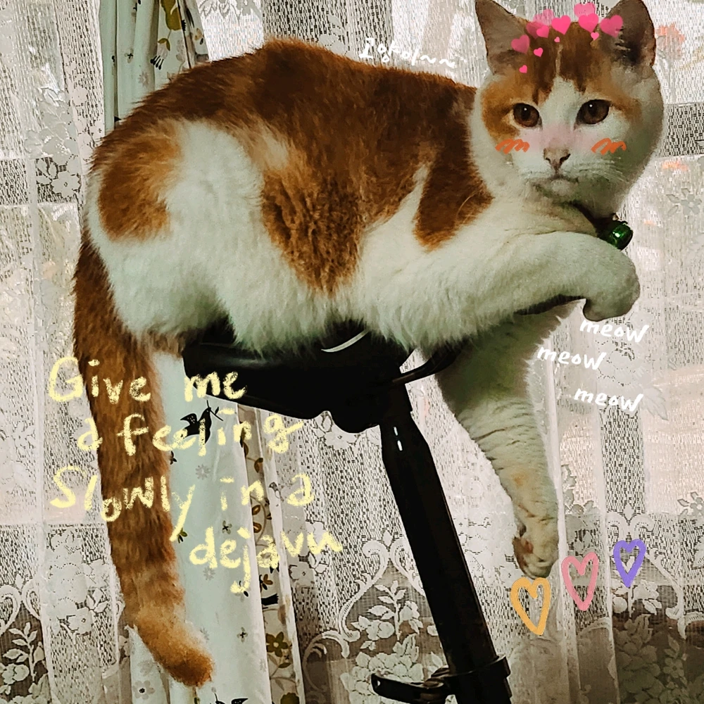 Gambar diunggah oleh Babamz