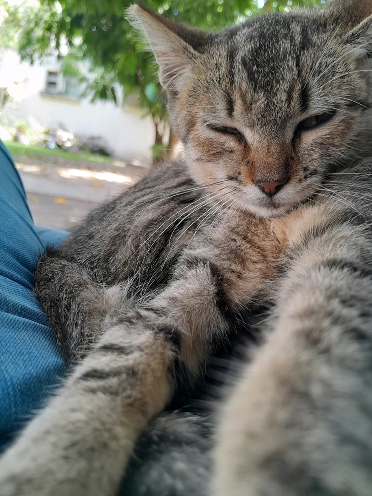 Imagen subida por Kat♡
