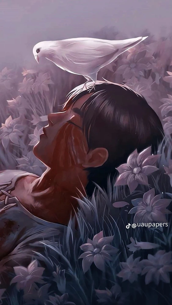 David վերբեռնած նկար