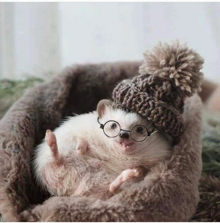 Zdjęcie dodane przez Konrad