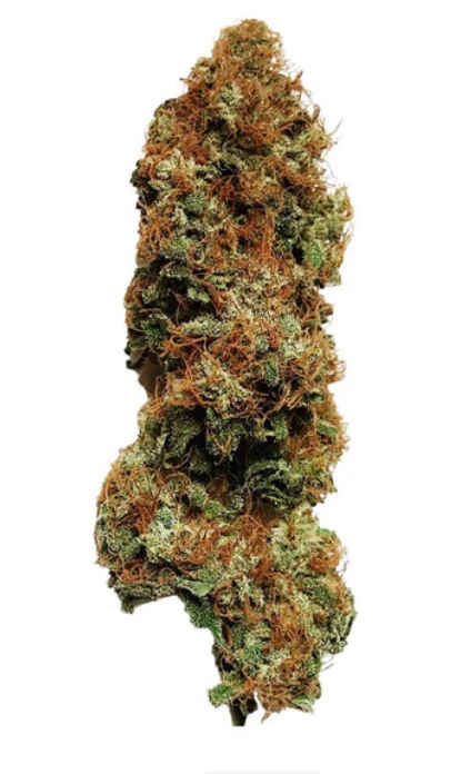 Zdjęcie dodane przez Wiktor