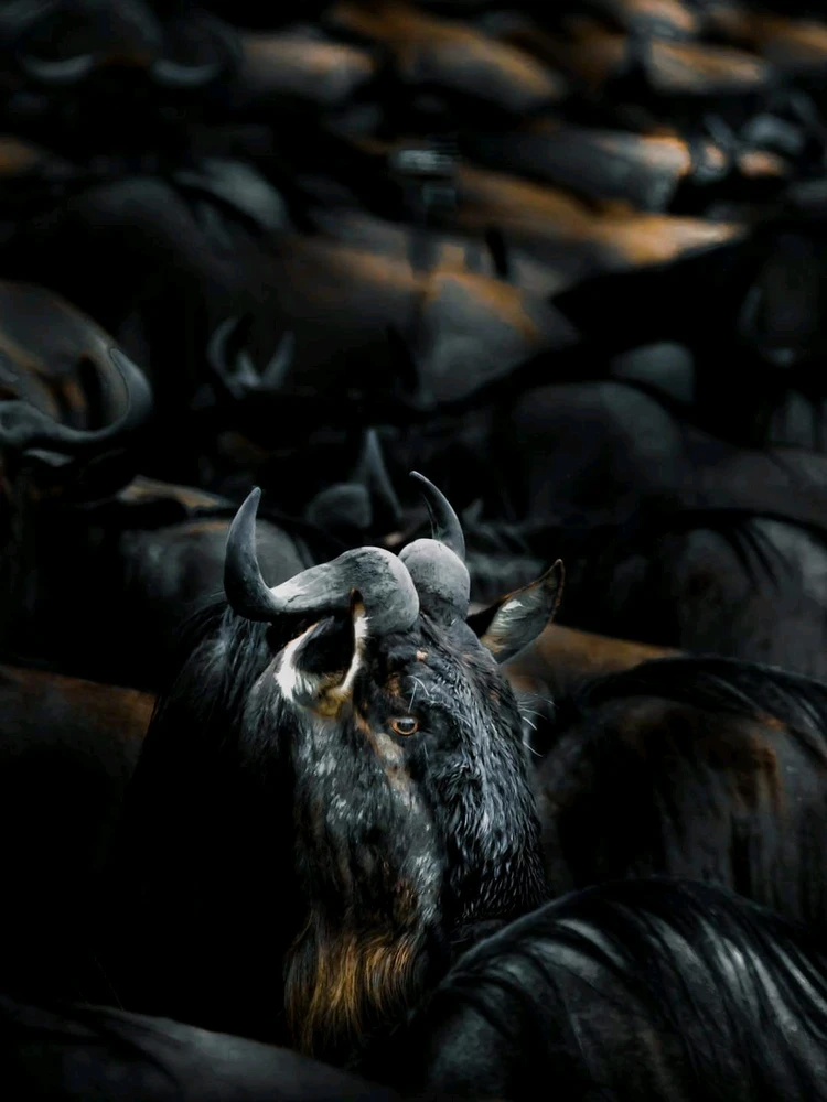 صورة رفعها Hasabo