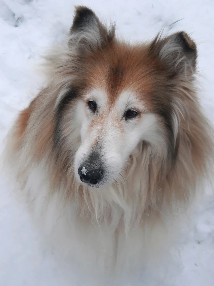 Image uploaded by Crystal