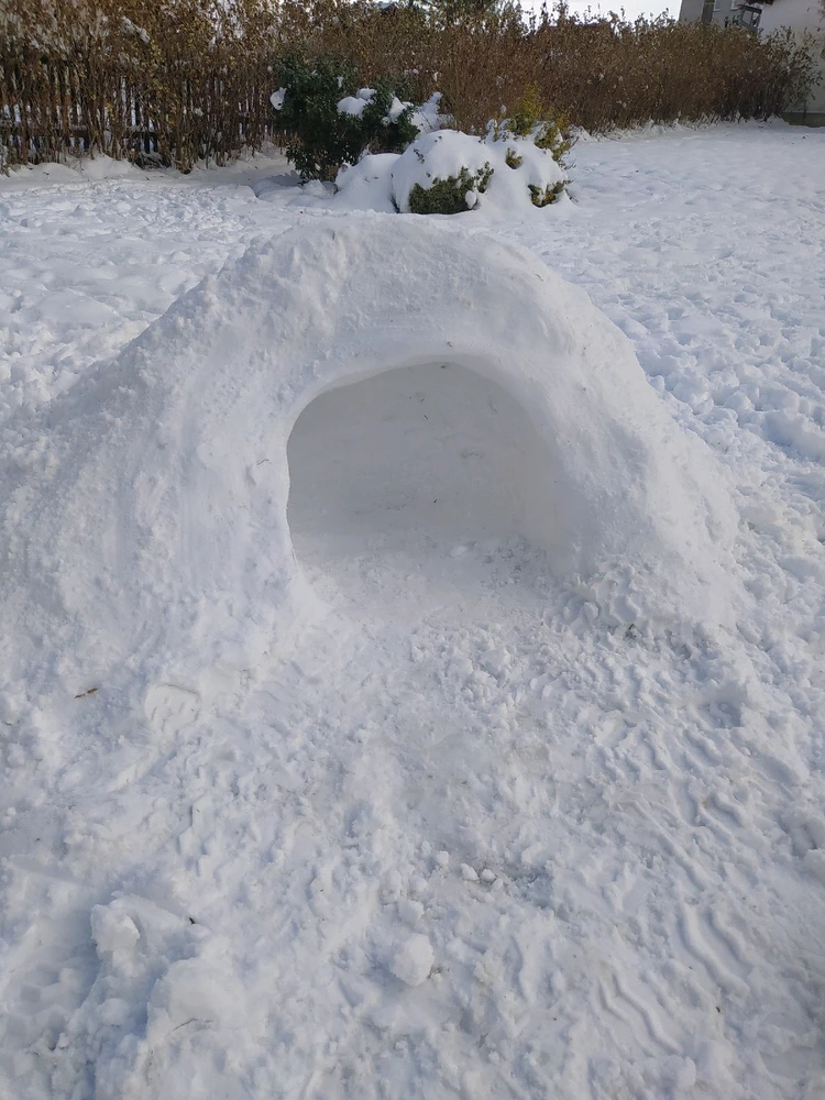 Obrázek nahrál Ariel