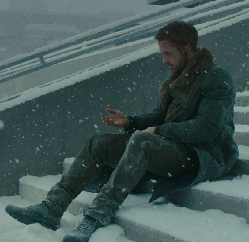 Immagine caricata da Phelipe