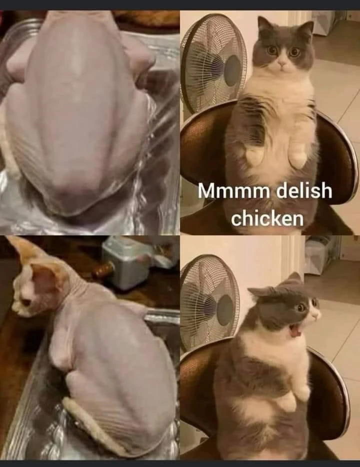 Zdjęcie dodane przez Monika