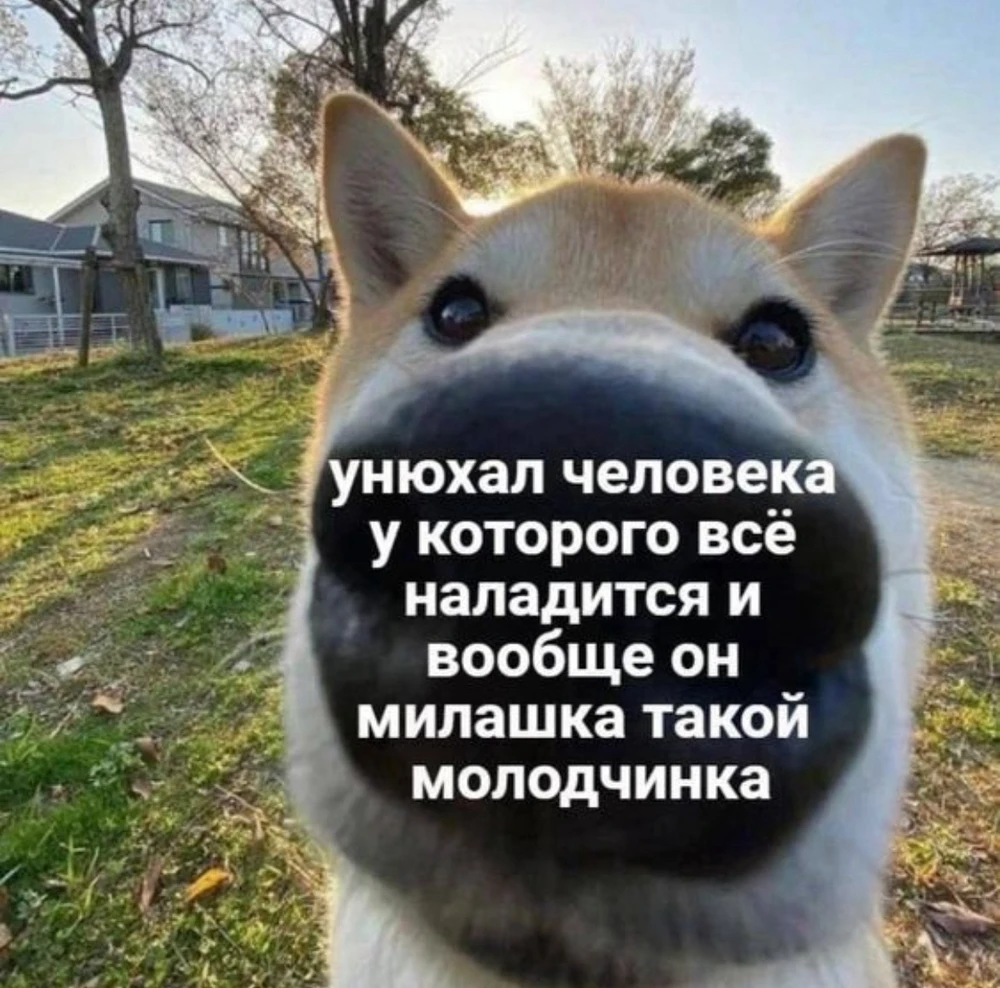 Фото загрузил Anna