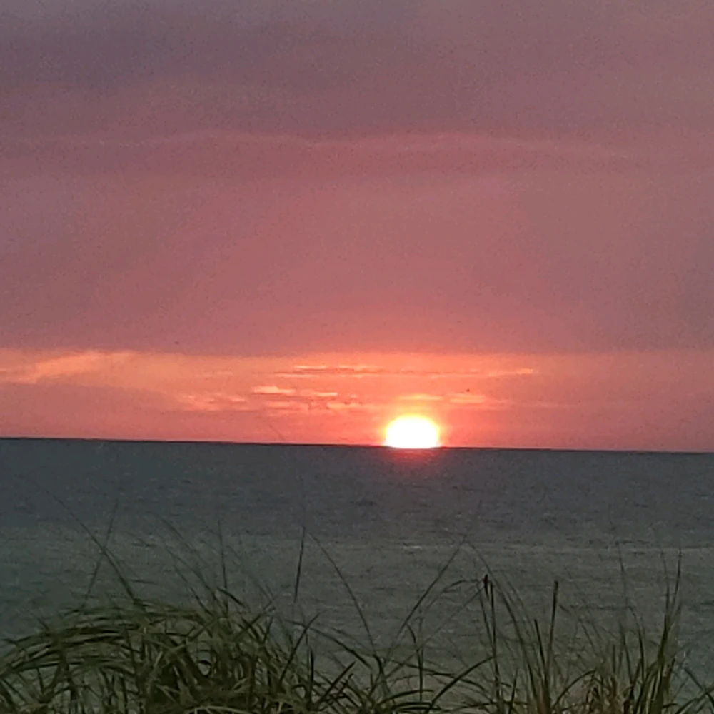 Image uploaded by Mia