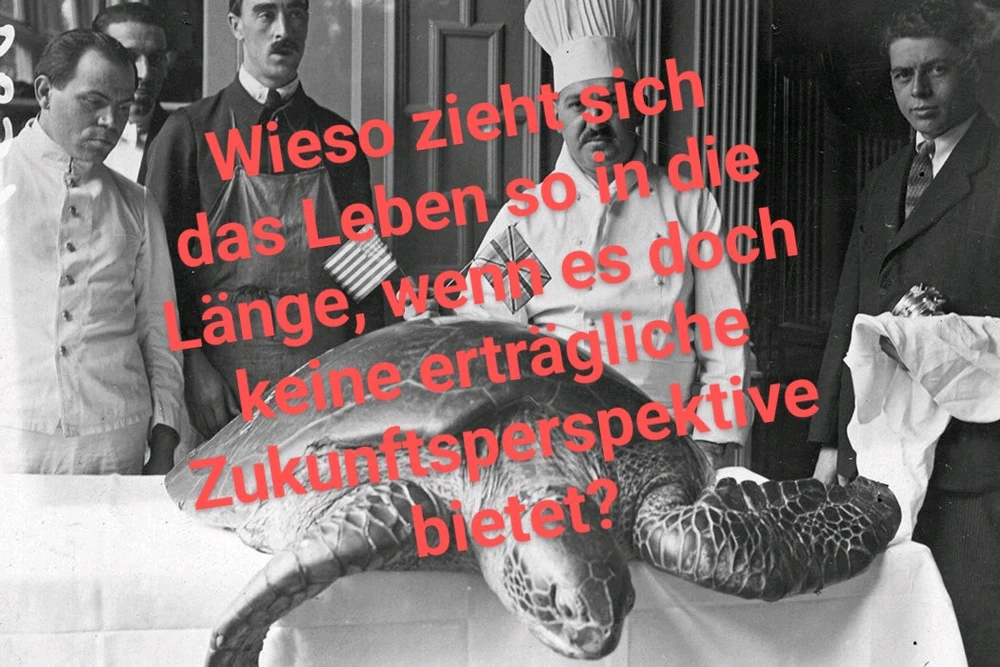 Bild hochgeladen von Polarbuzzaroo (Andreas)