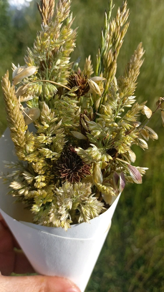 Imagen subida por Alejandra