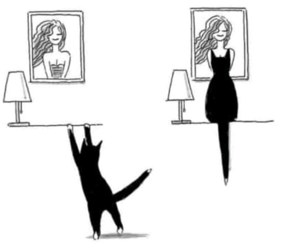 Imagen subida por Alejandra