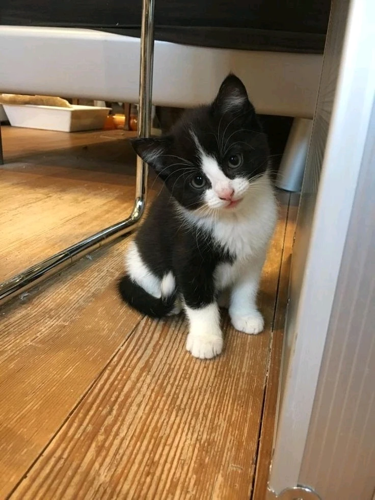 Image uploaded by 2mi