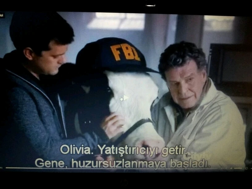 ismail tarafından yüklenen görsel