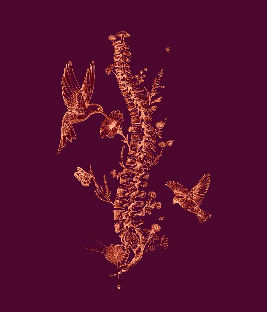 Immagine fantasiosa di una colonna vertebrale come una radiografia o il negativo di una foto