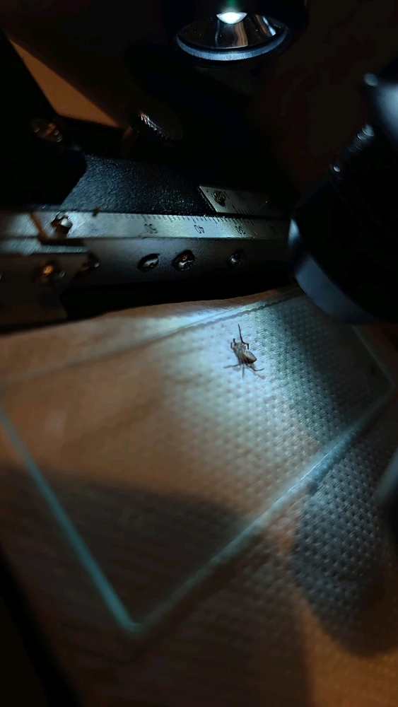 Zdjęcie dodane przez Jackob