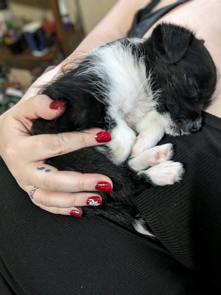 Image uploaded by Corri