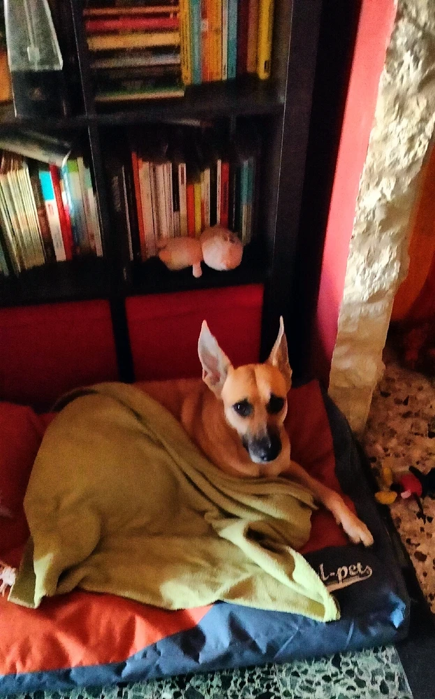 Immagine caricata da Walter