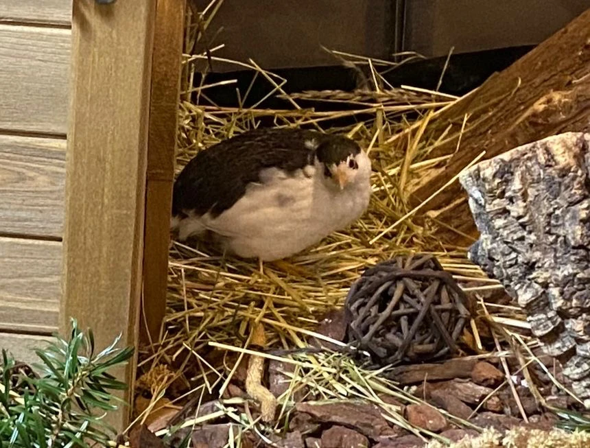 Bild hochgeladen von Mila