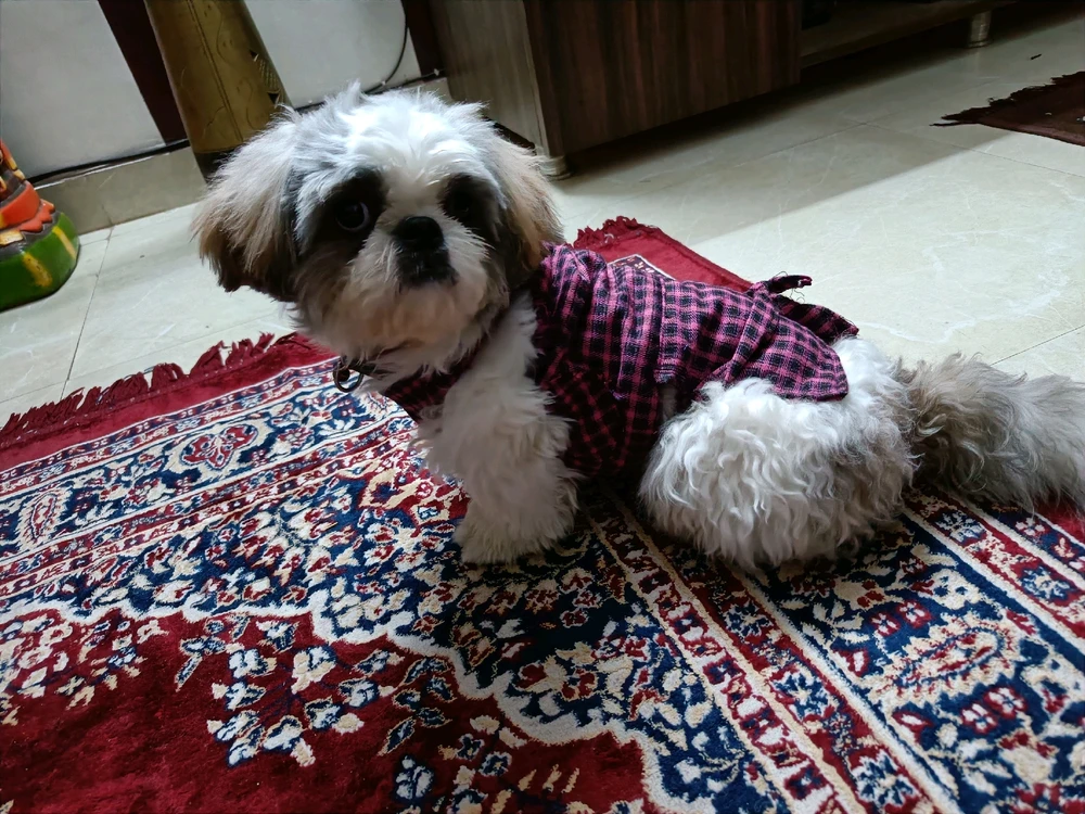 Image uploaded by Cyril