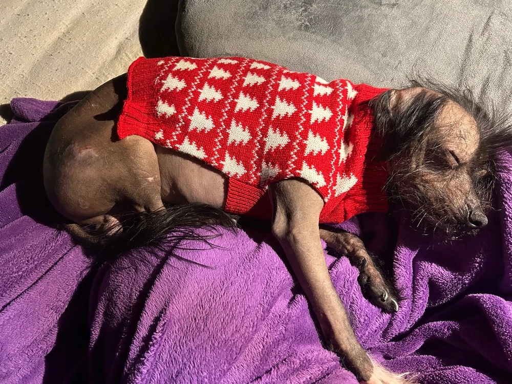 Bild hochgeladen von Hanna