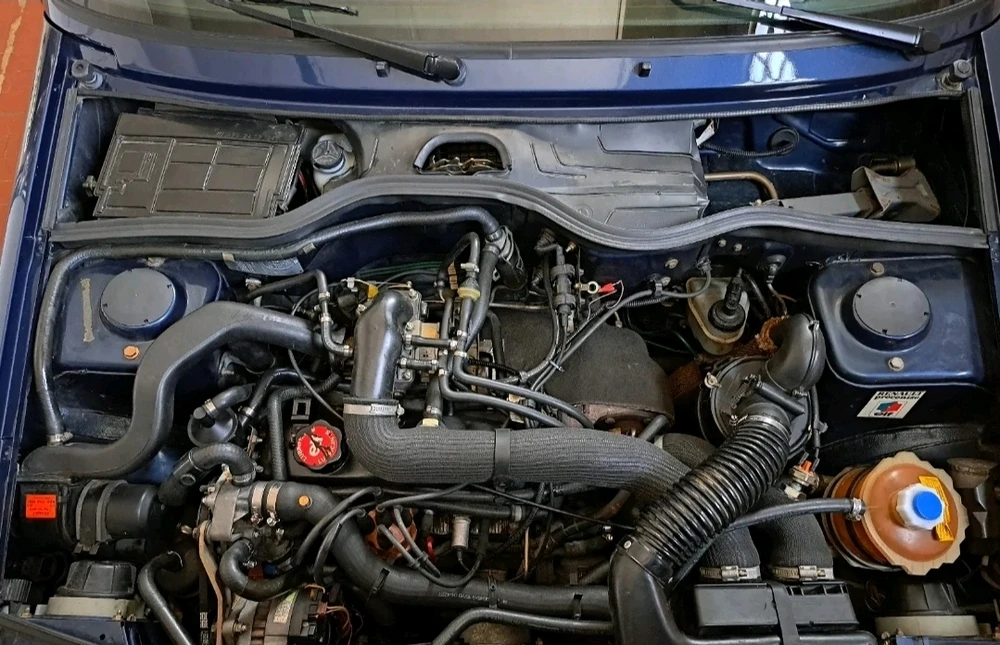 Immagine caricata da Enrico