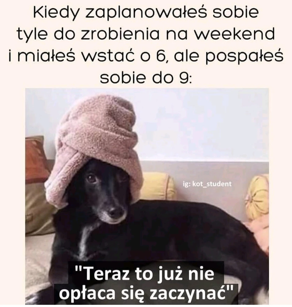Zdjęcie dodane przez Ania