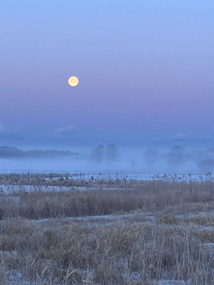 Image uploaded by Sanny