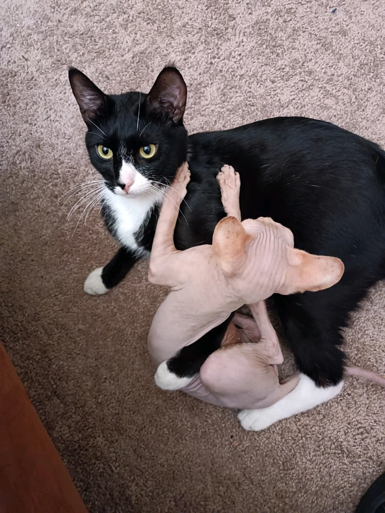 Image uploaded by Logan Kilgo